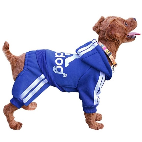 Dog Sweatshirt Hoodie NWT - Picture 4 of 8